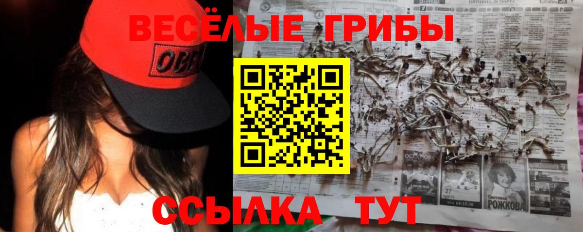 что такое наркотик  Псилоцибиновые грибы Psilocybine cubensis  Прокопьевск  Вход с VPN  Галлюциногенные грибы Psilocybine cubensis 